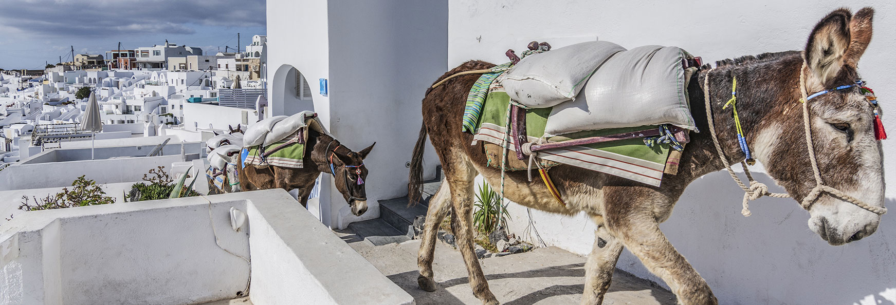 FOTW_Greece_AllYouNeedIs
